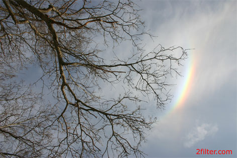 rainbow high snow